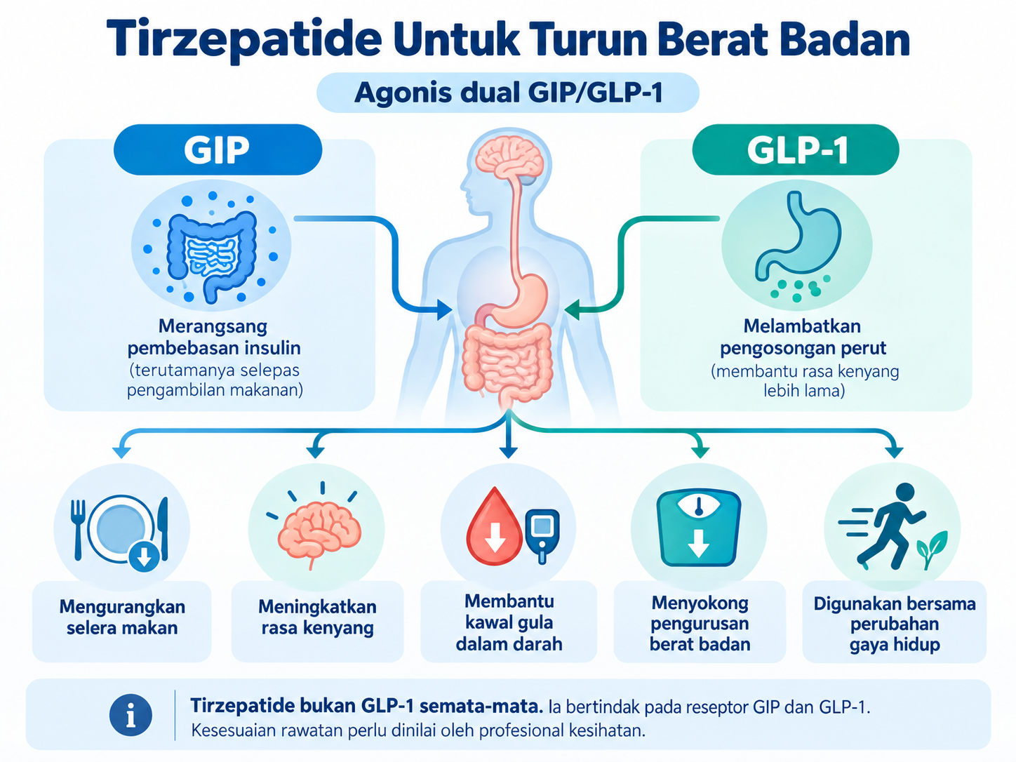 Tirzepatide untuk turun berat badan: cara ia bertindak pada reseptor GIP dan GLP-1
